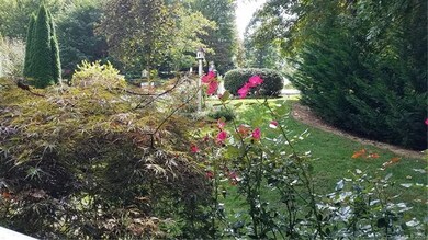 View from the front porch towards street