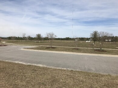 508 Boneset Park Dr, Holly Ridge, NC 28445 - photo 5