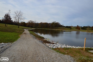 6 Serenity Lake Ct, Foristell, MO 63348 - photo 3