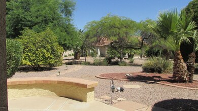 Back Yard View Facing Walking Path