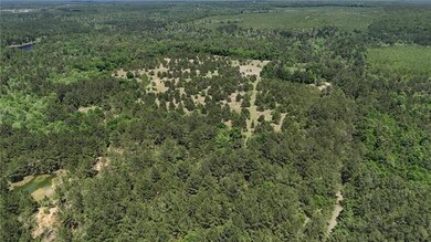 Bird's eye view with a forest view