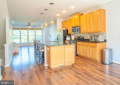 13236 Shawnee Ln unit 105, Clarksburg, MD 20871 - photo 4