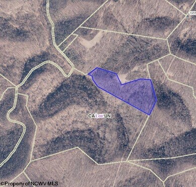 Parcel 22 Little Rowels Run, Creston, WV 26141 - photo 6