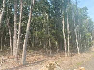 0 Winn Trail unit 1571512, Ogunquit, ME 03907 - photo 4