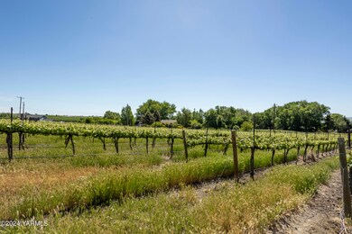 0 Wilson Hwy, Grandview, WA 98930 - photo 2