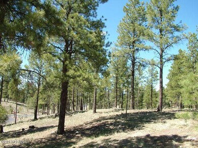 Lot 52