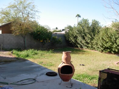 back yard west view