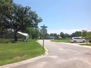 704 Adeline Ct unit Lot 5, Conway, SC 29526 - photo 2