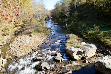 Rock Creek Ridge Rd, Bakersville, NC 28705 - photo 4