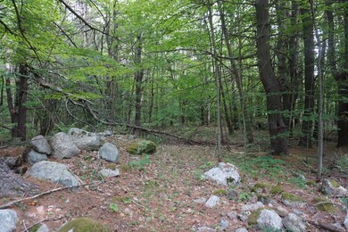 DSC08584