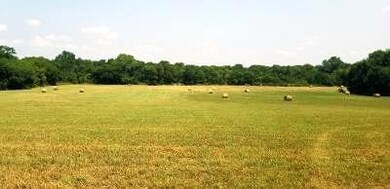 0000 Cr 4230, Bonham, TX 75418 - photo 3