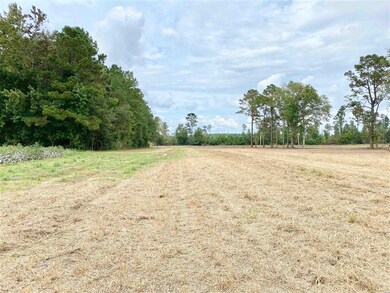 TBD Wise Farm Rd unit Parcel C, Aynor, SC 29511 - photo 6