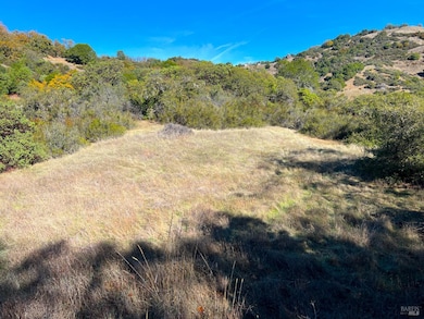 5290 Butler Ranch Rd, Ukiah, CA 95482 - photo 6