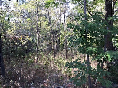 0 Partney Cir, Bella Vista, AR 72715 - photo 4