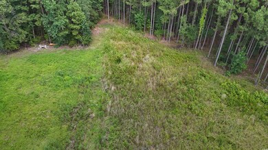 View of undeveloped land