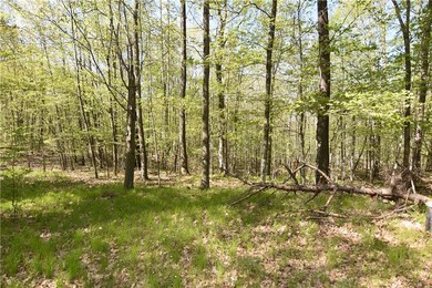 2376 2 Bear Rd, Weyerhaeuser, WI 54895 - photo 3