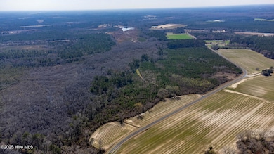 11394 N Carolina 41, Bladenboro, NC 28320 - photo 3