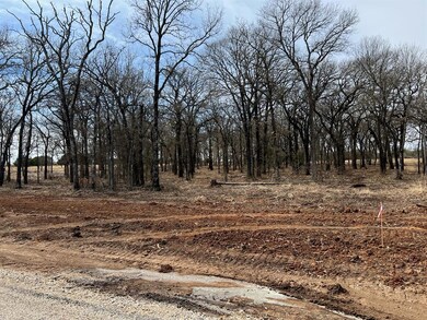 612 Roy Coffee Ct, Weatherford, TX 76087 - photo 2