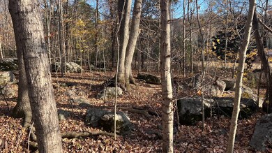 1 Adams Rd, Watertown, TN 37184 - photo 7