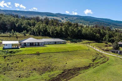 569 Hapapa Rd, Kula, HI 96790 - photo 6