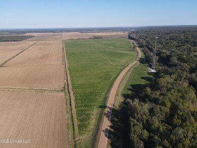 Photo Nov 11 2024, 9 27 01 AM