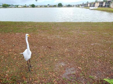 Daily visit from hungry bird.
