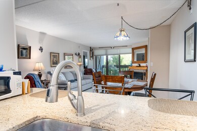 255 Old Mill Rd unit F15, Killington, VT 05751 - photo 4