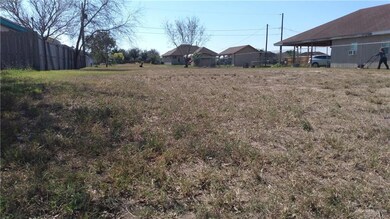 2005 Puerto Rico Ave, Weslaco, TX 78596 - photo 5