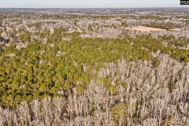 50 Thorn Way, Elgin, SC 29045 - photo 7