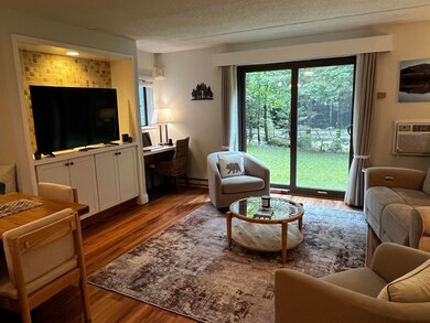 23 Black Bear Rd unit 103, Waterville Valley, NH 03215 - photo 2