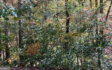 TR 1 Tusquittee Rd, Hayesville, NC 28904 - photo 6