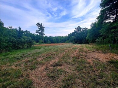 0 County Road 456, Beaver Dam Township, MO 63901 - photo 4