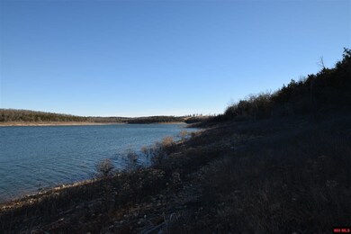 000 Airline Dr unit Lot 42, Protem, MO 65733 - photo 6