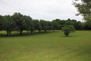 View of the Bradford Pear Trees along Driveway!