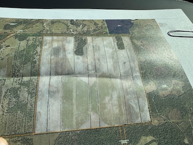 26754 SW Martin Hwy, Okeechobee, FL 34974 - photo 3