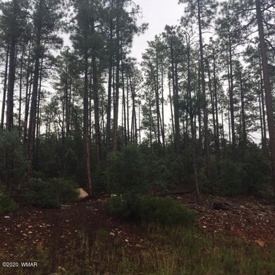 2321 S Bristlecone Dr, Show Low, AZ 85901 - photo 6