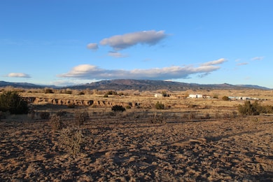 Tbd Cedar Ave, Canon City, CO 81212 - photo 5