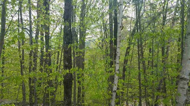 71 Emery, Bartlett, NH 03812 - photo 5