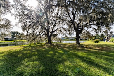 15015 Eaglerise Dr, Lithia, FL 33547 - photo 6