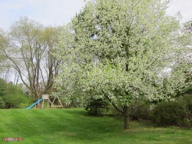 Bradford Pear tree in bloom, and swingse