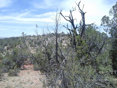 LOT 268 VIEWS