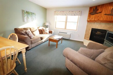 164 Deer Park Dr unit 161 B, Woodstock, NH 03262 - photo 5
