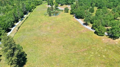 Lower pasture.