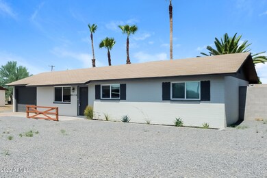 001-photo-front-view-11684453