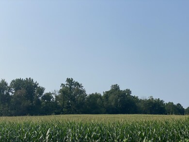 IMG_4150