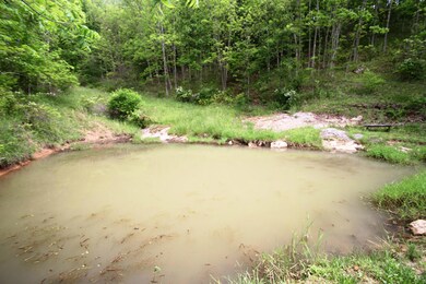 Pond