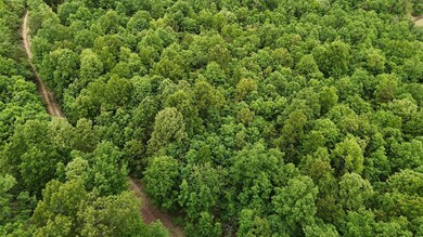 Tract 19 Pine Ridge Ln, Clinton Township, MO 65689 - photo 4