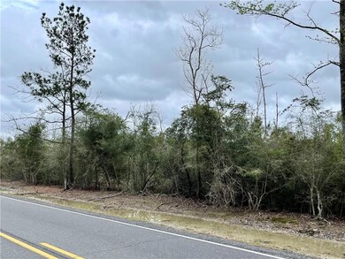 0 Old Hecker Rd unit SWL22002568, Iowa, LA 70647 - photo 5