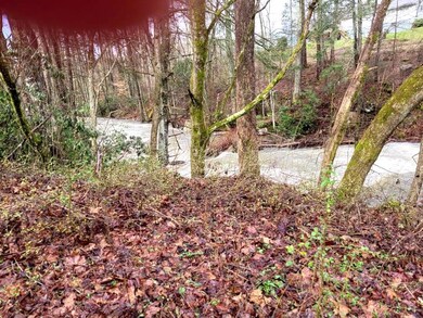blevins hollow