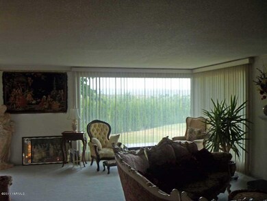 Large Picture Winows in the Living Room